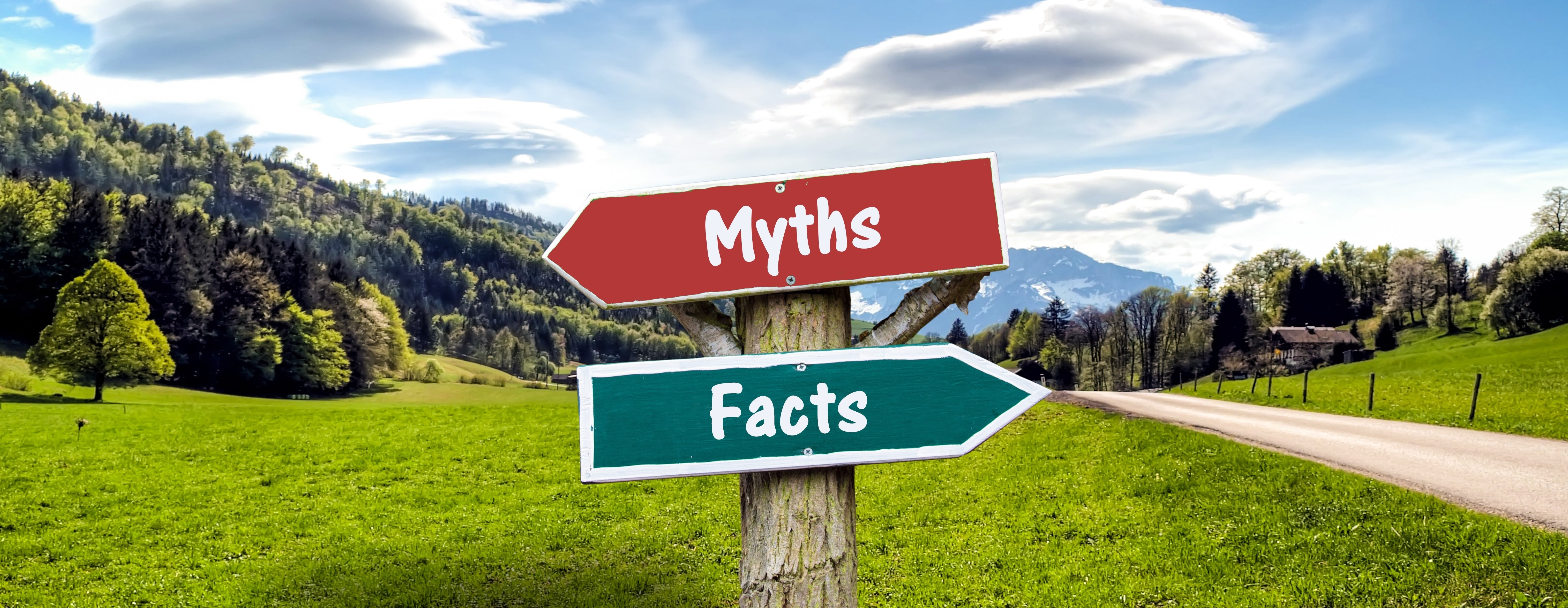Protist Nutrition: Separating Fact From Fiction - 8fkhcof